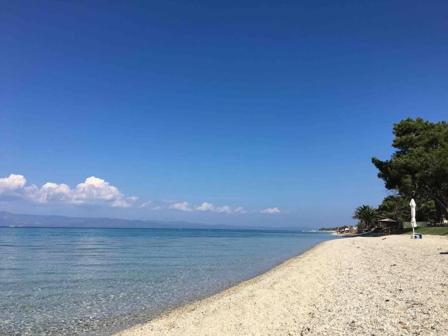 Stylish Pool Villa Konstantinidis Complex Apartment in Halkidiki