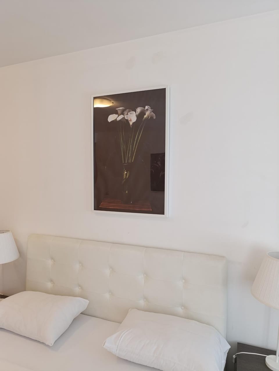 Kala Apartment in Belgrade