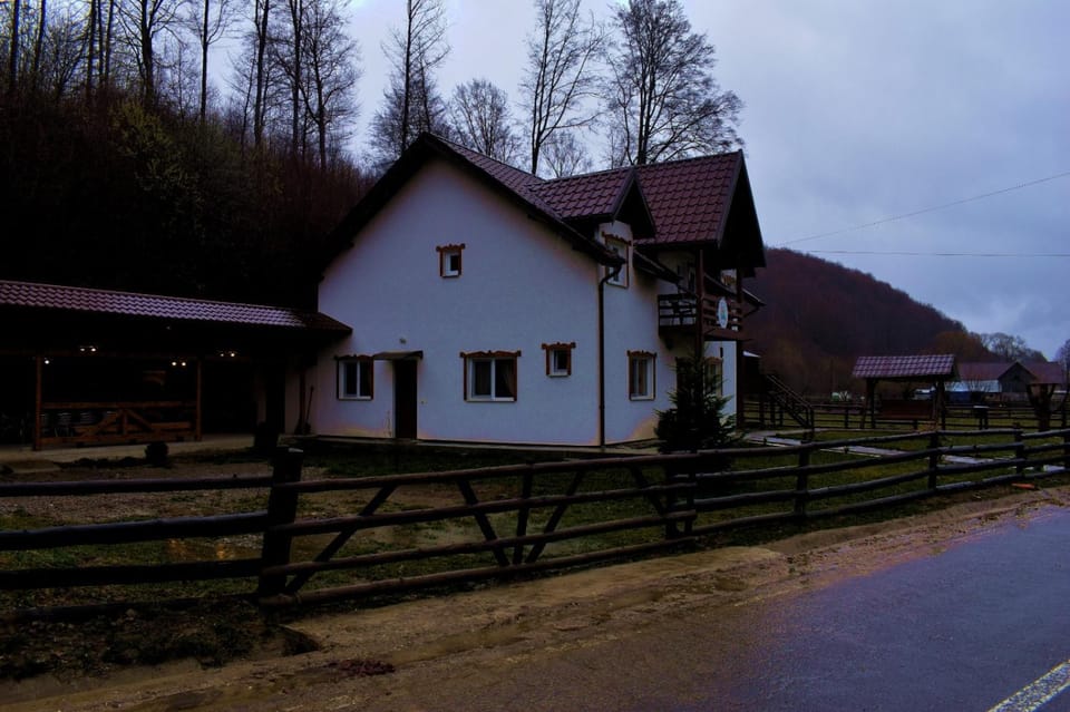 Casa Vanatorului Buzaiel Country House in Brașov County