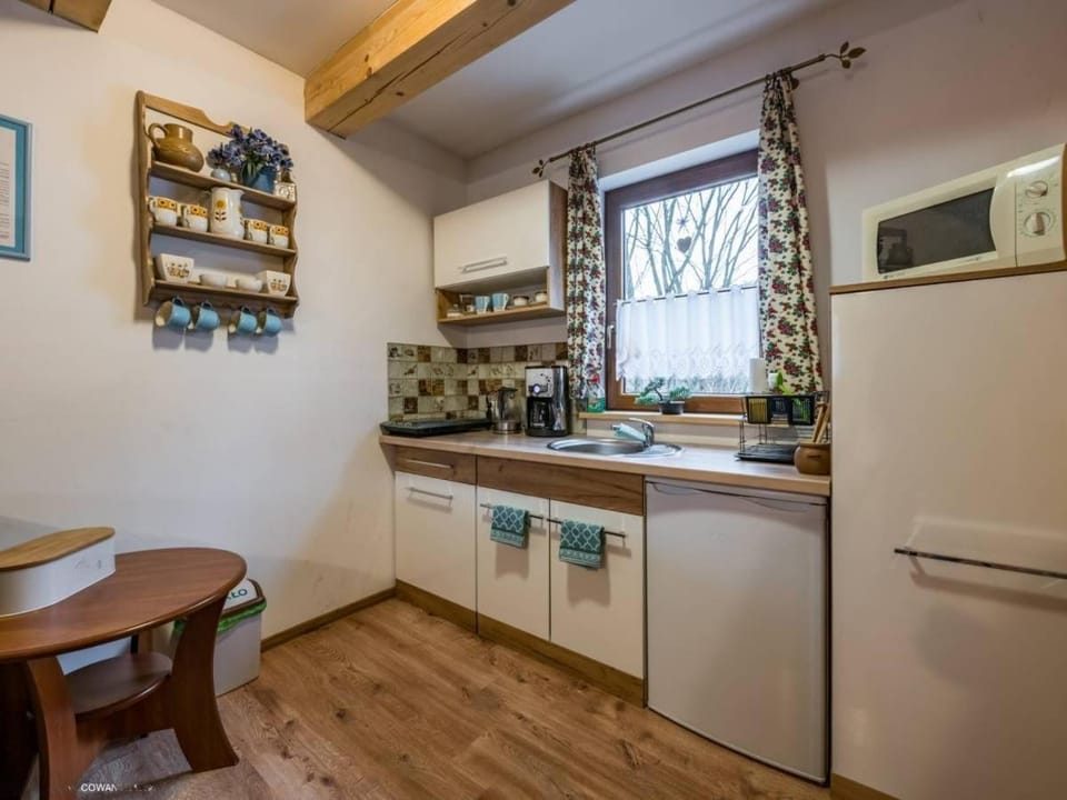 Kitchen or kitchenette, oven, stove
