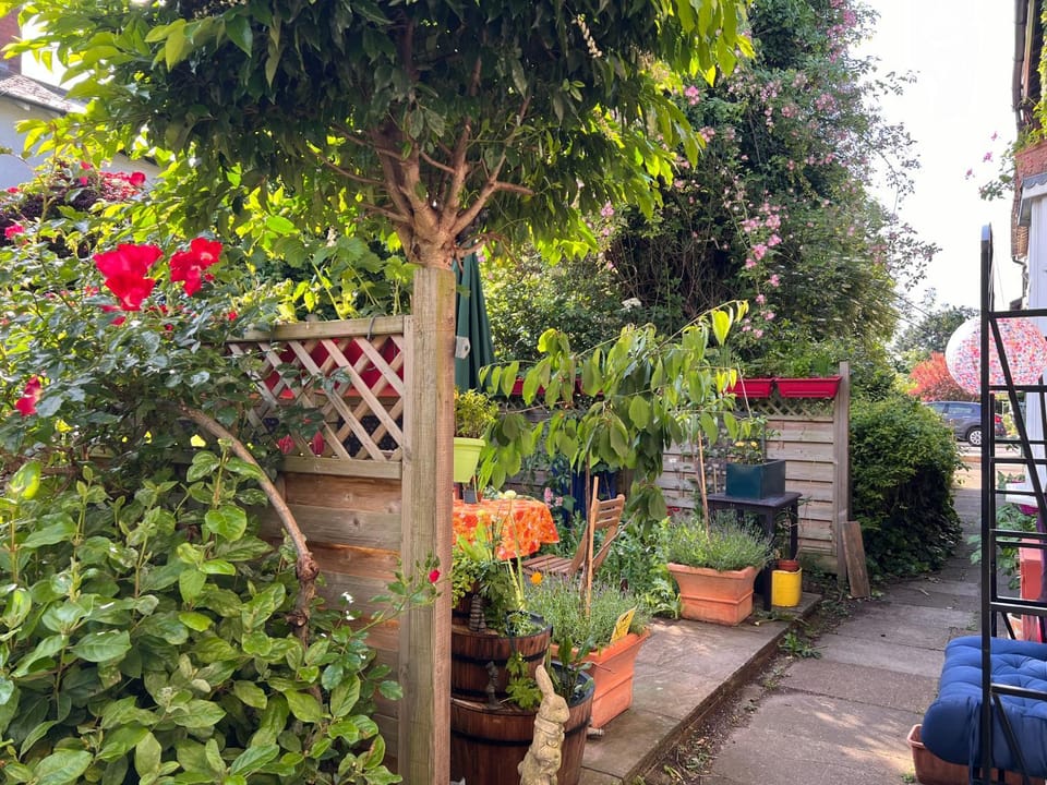 Property building, Garden