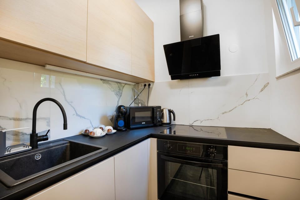 Kitchen or kitchenette, dishwasher, stove, toaster