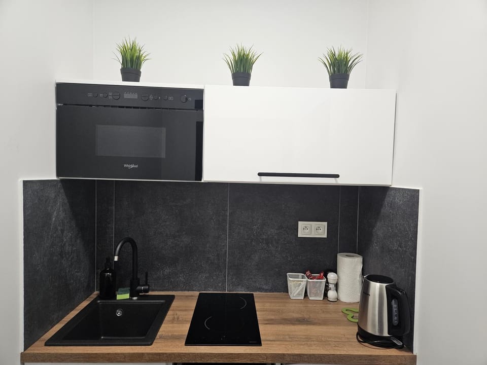 Apartamenty N 25 Przy Kaponierze Apartment in Poznan