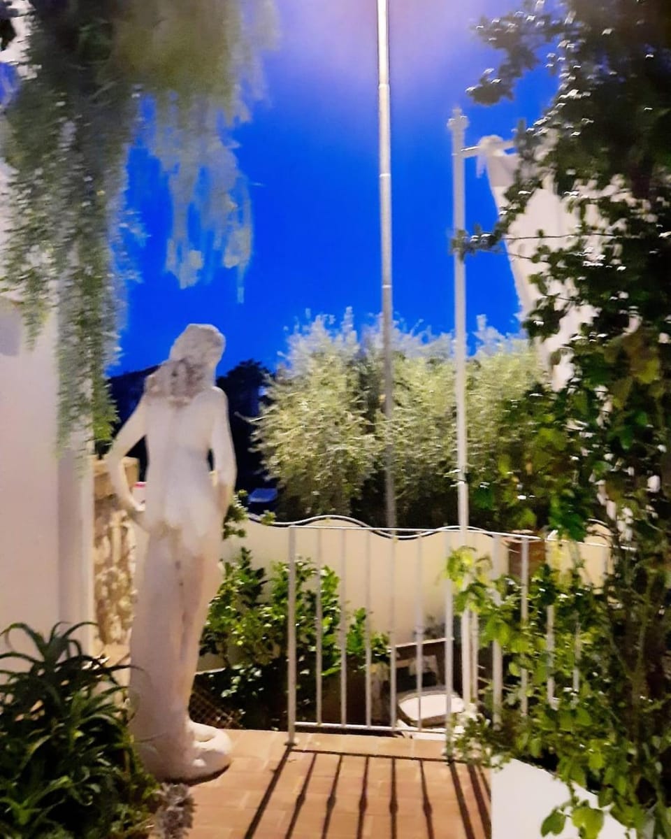 Garden view