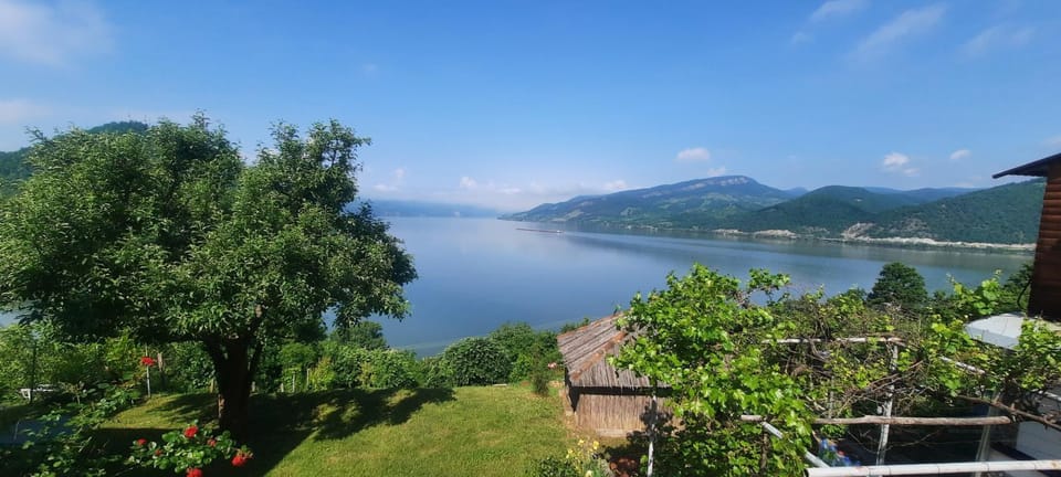 Garden, River view