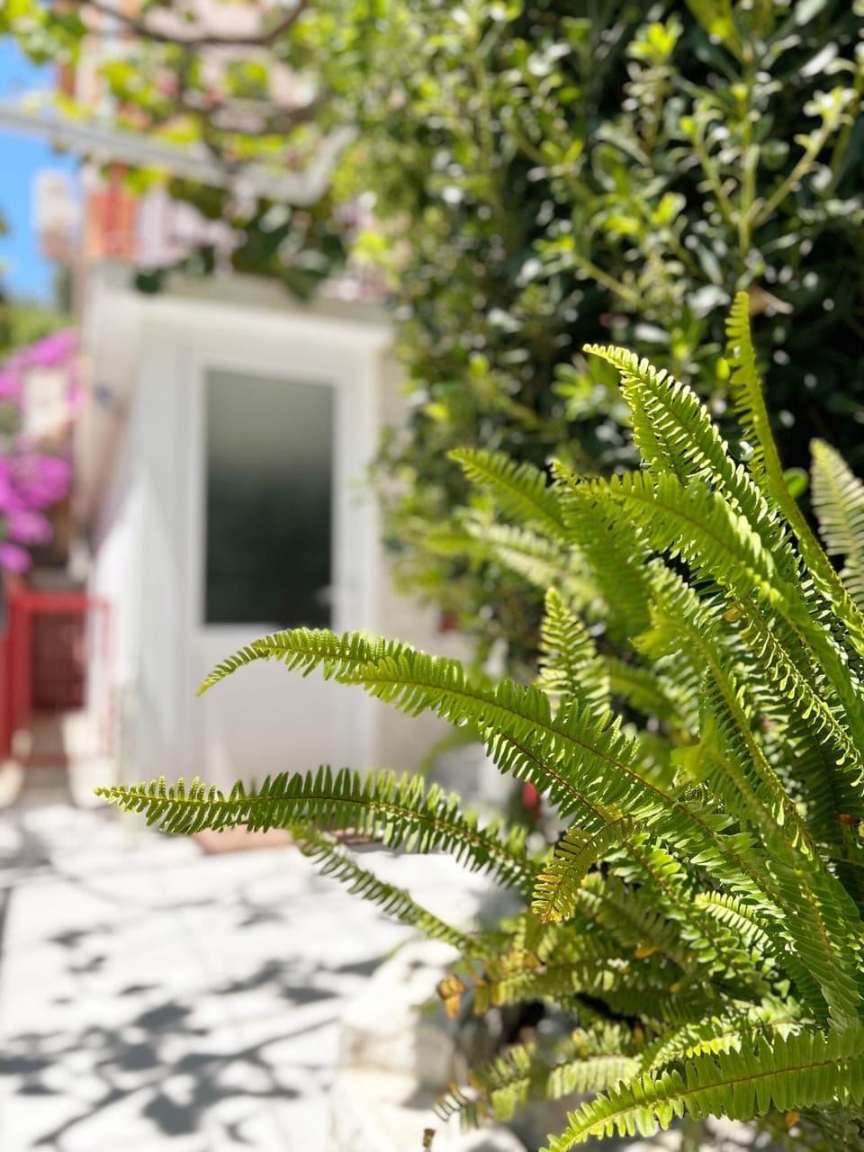 Property building, Spring, Day, Garden
