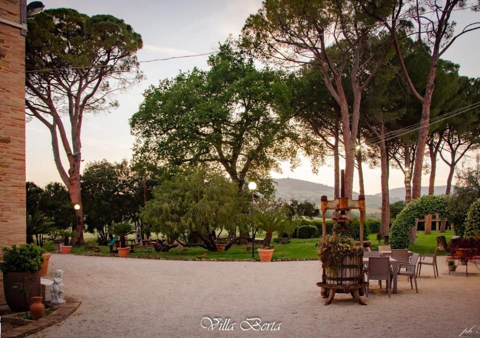 Natural landscape, Garden, Garden view