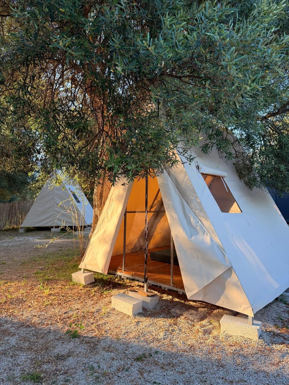 Borsh Olive Camping Campground/ 
RV Resort in Vlorë County, Albania