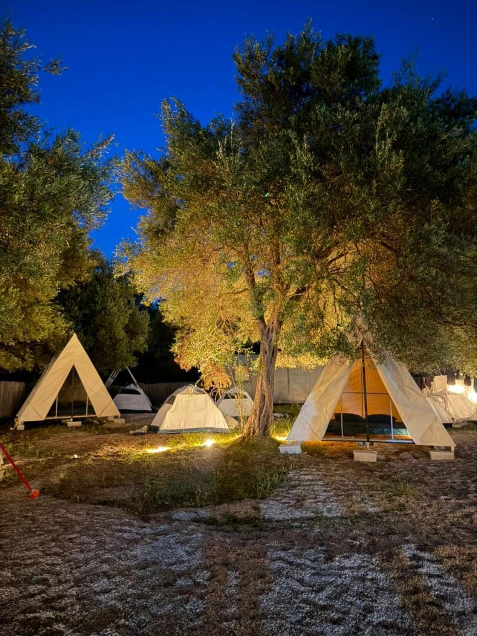 Borsh Olive Camping Campground/ 
RV Resort in Vlorë County, Albania