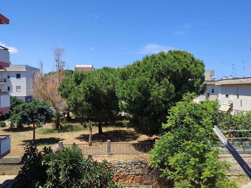 Inner courtyard view