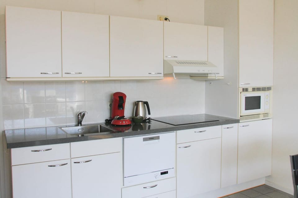 Kitchen or kitchenette, dishwasher, stove