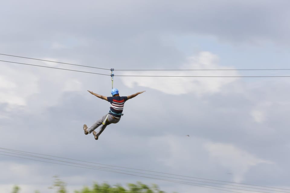 Day, People, Activities