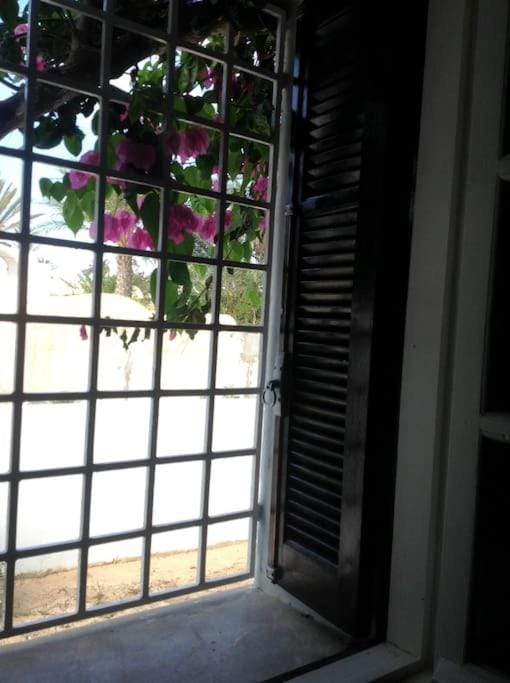 Maison Djerba Carthage House in Tunisia