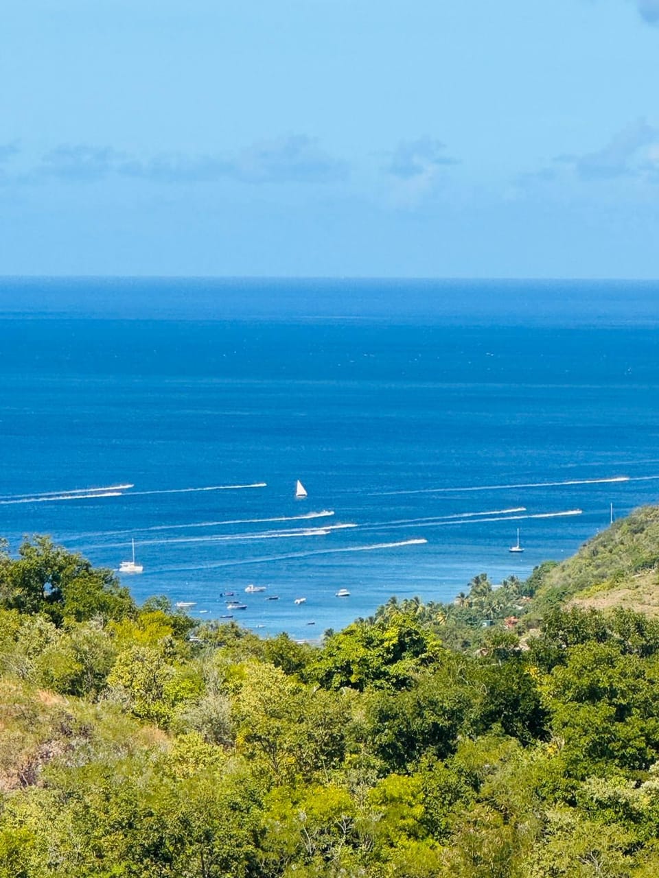 Blue Mountain Villa Villa in Martinique