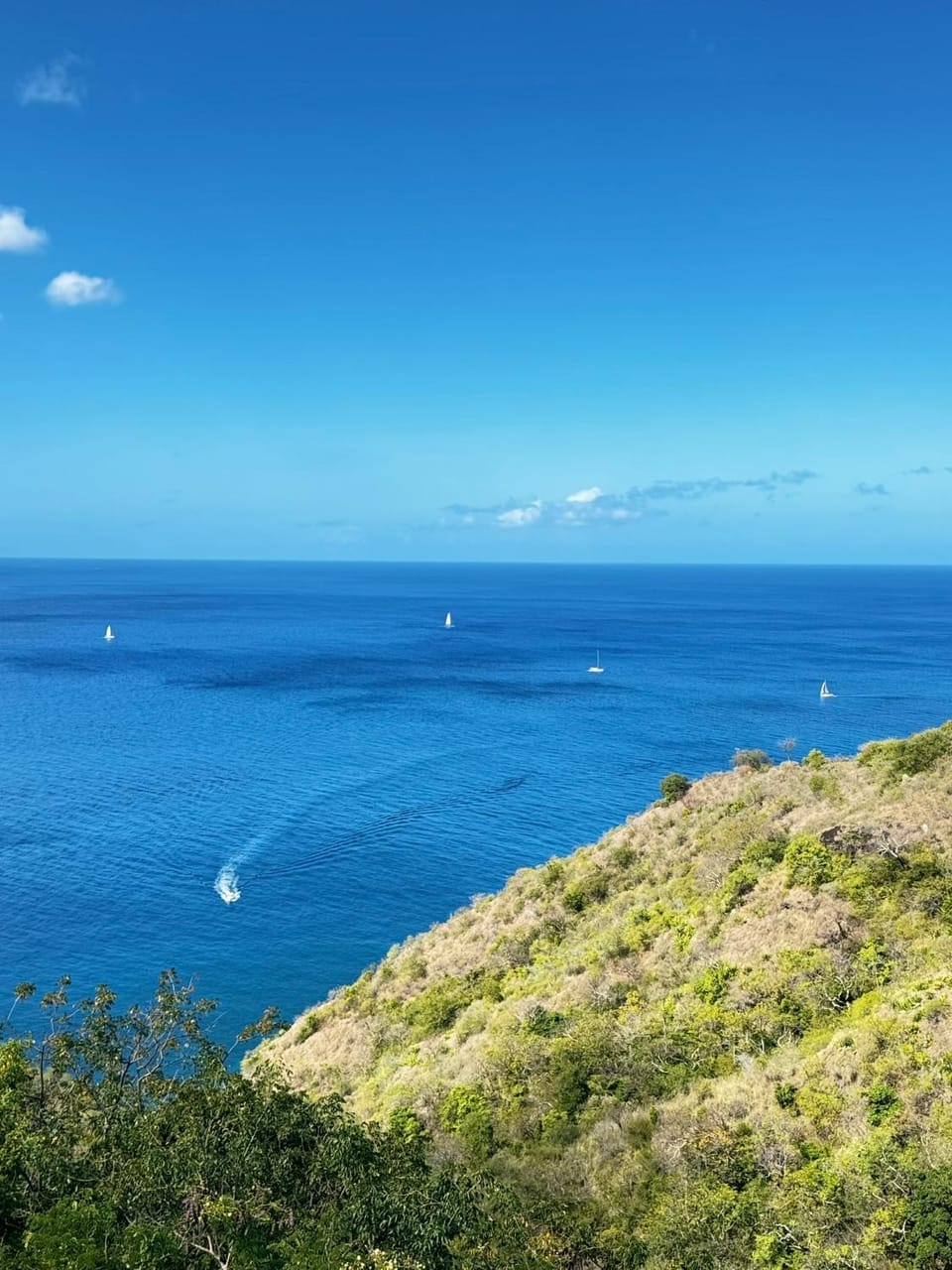 Blue Mountain Villa Villa in Martinique