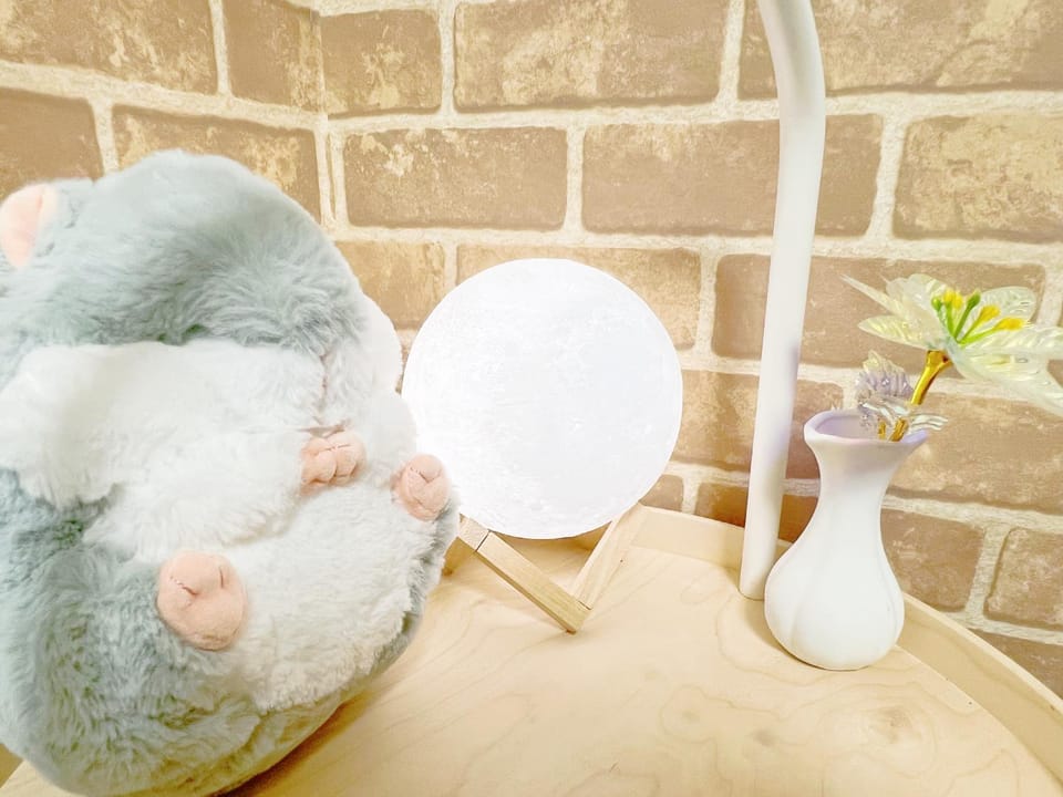 東新宿1分&新大久保10分 Vacation rental in Shinjuku