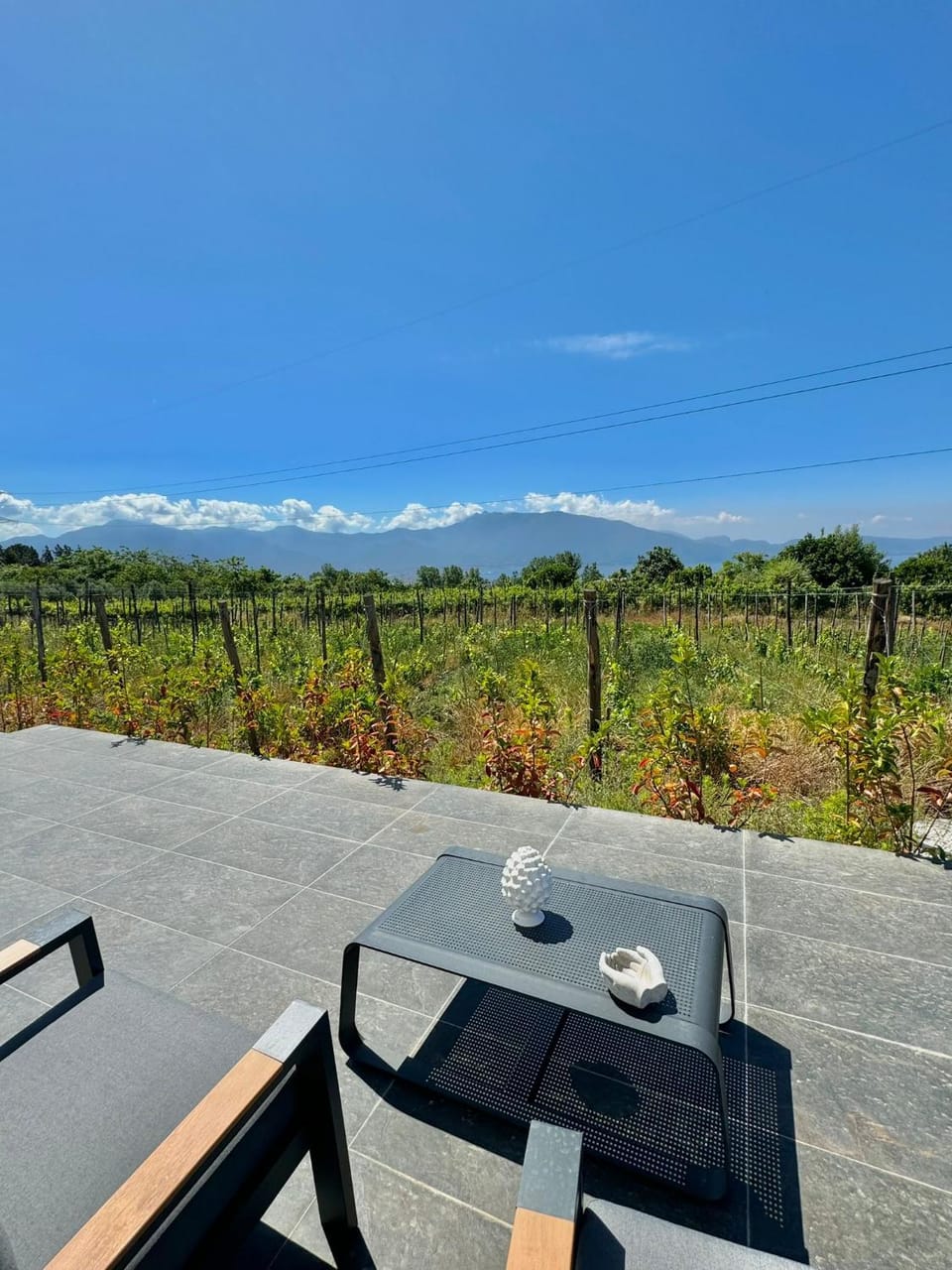 Natural landscape, View (from property/room), Balcony/Terrace, Garden view, Sea view, Sea view, Inner courtyard view