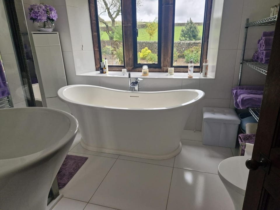 Shower, Toilet, Bathroom, Bath, towels