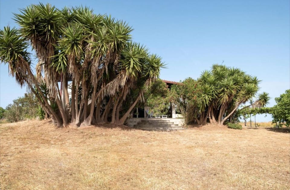 Natural landscape, Garden, Garden view
