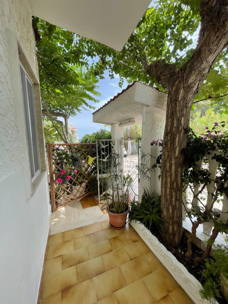 Balcony/Terrace, Garden view