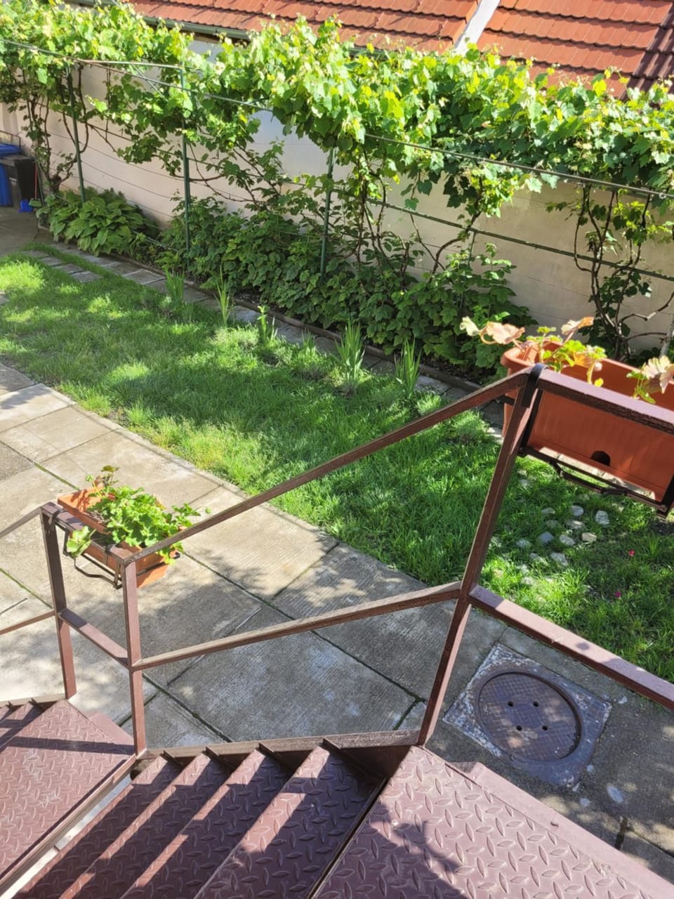 Patio, Garden, Garden view