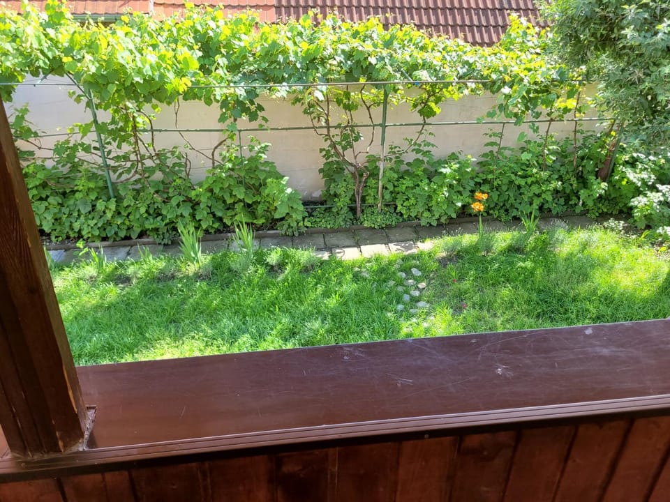 Garden, Garden view