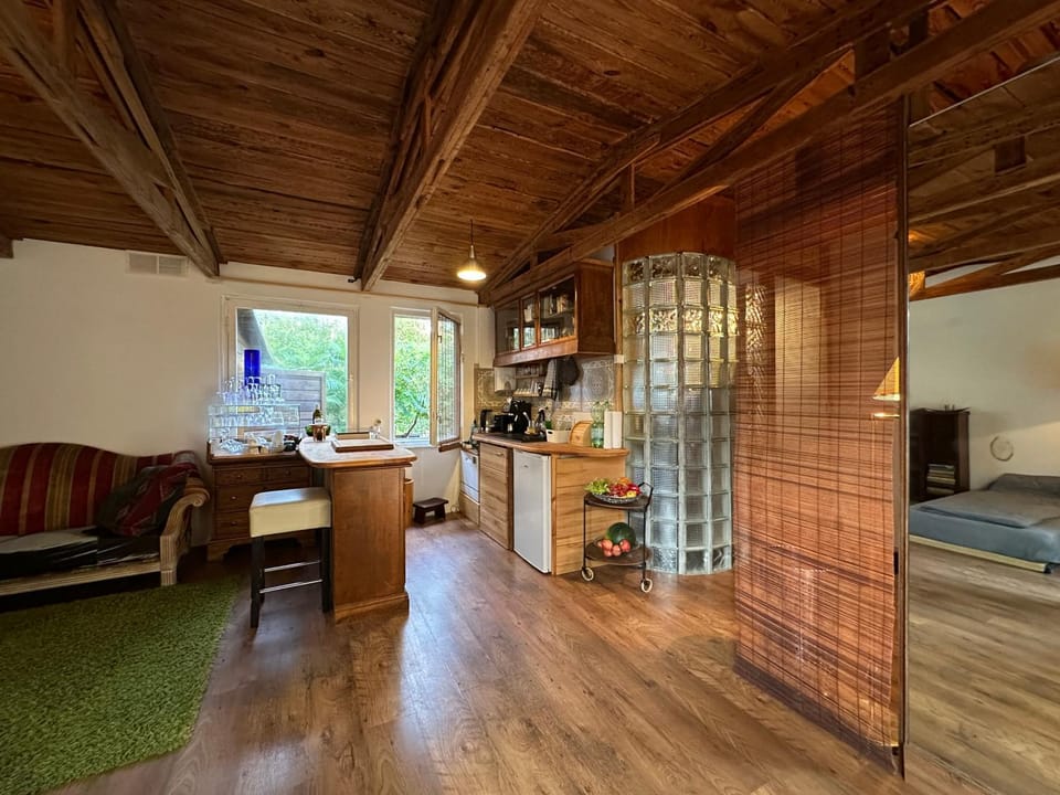 Kitchen or kitchenette, Living room, Photo of the whole room, Seating area, Dining area, dishwasher, pet friendly, stove