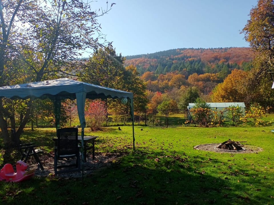 ROKOSZ - Noclegi Beskid Niski Farm Stay in Lesser Poland Voivodeship