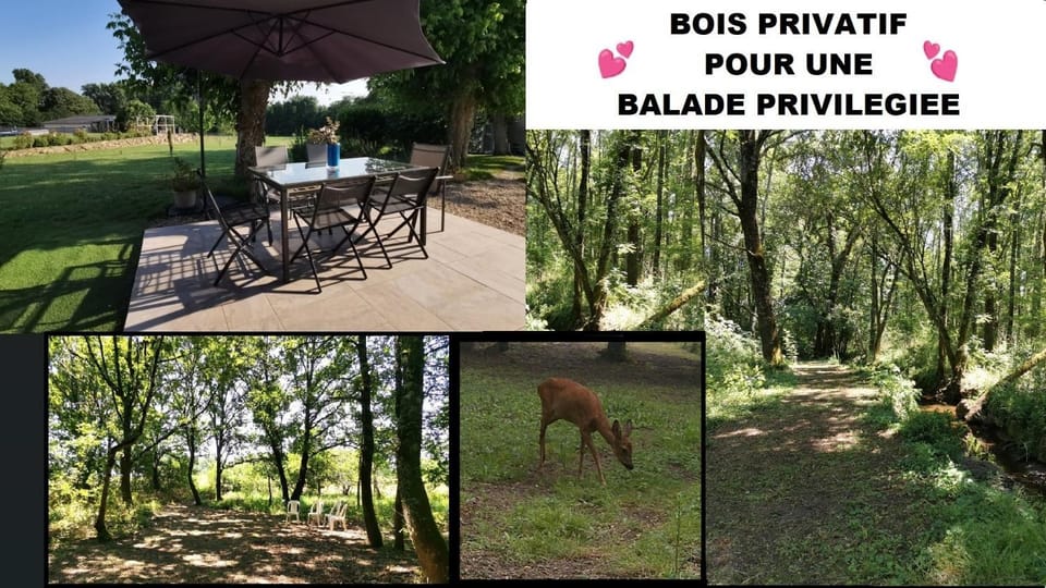 Maison avec grand jardin & bois privé en Dordogne House in Nouvelle-Aquitaine