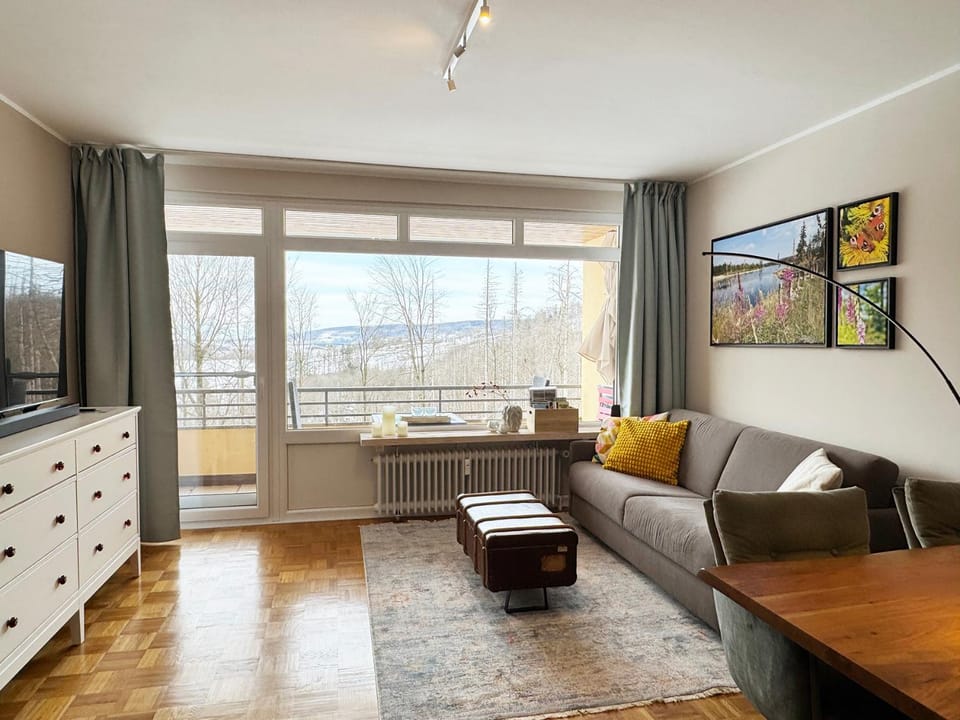 Natural landscape, TV and multimedia, View (from property/room), Balcony/Terrace, Living room