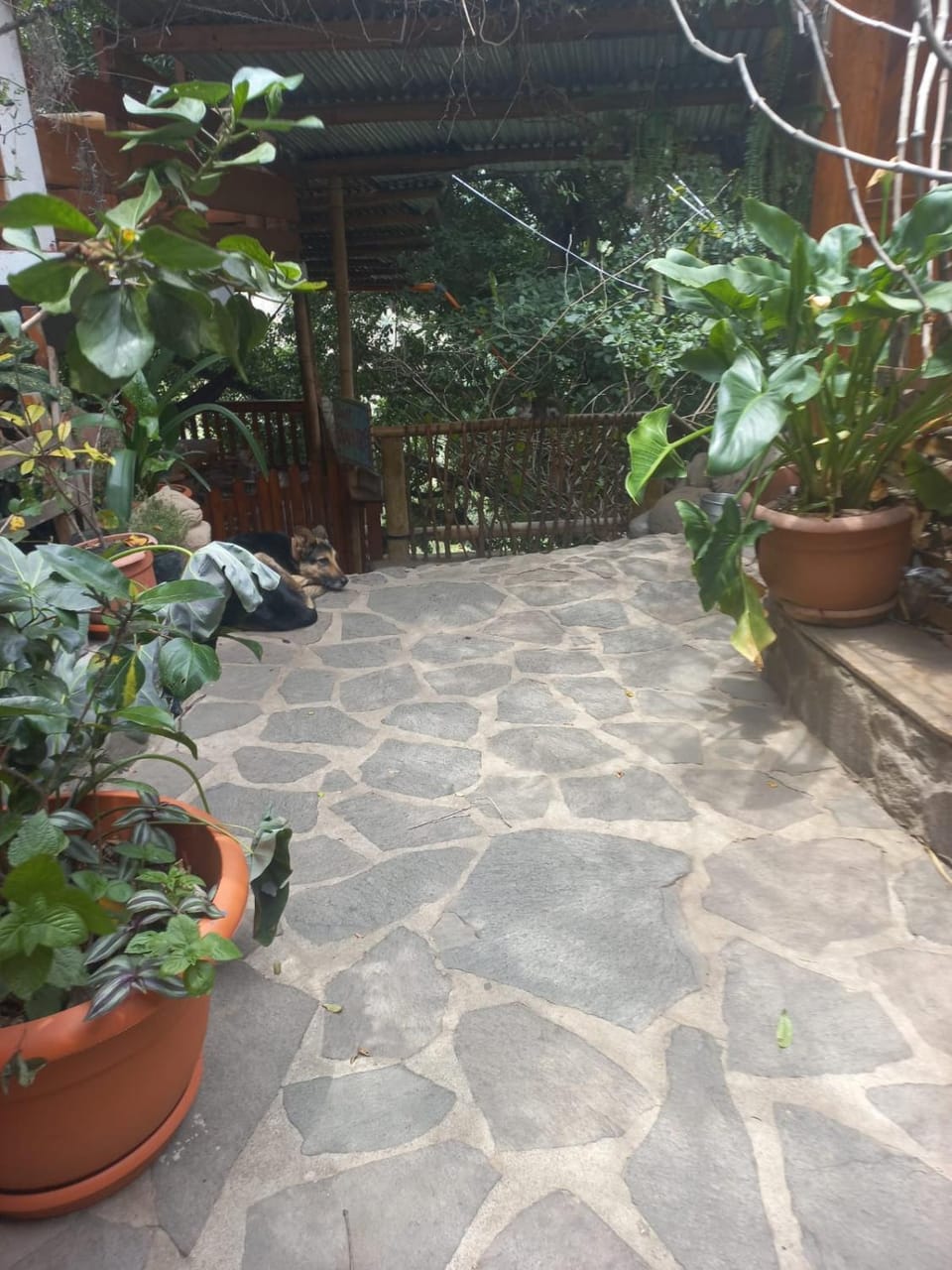 Casa Jaguar retreat style double bedroom Vacation rental in Sololá Department