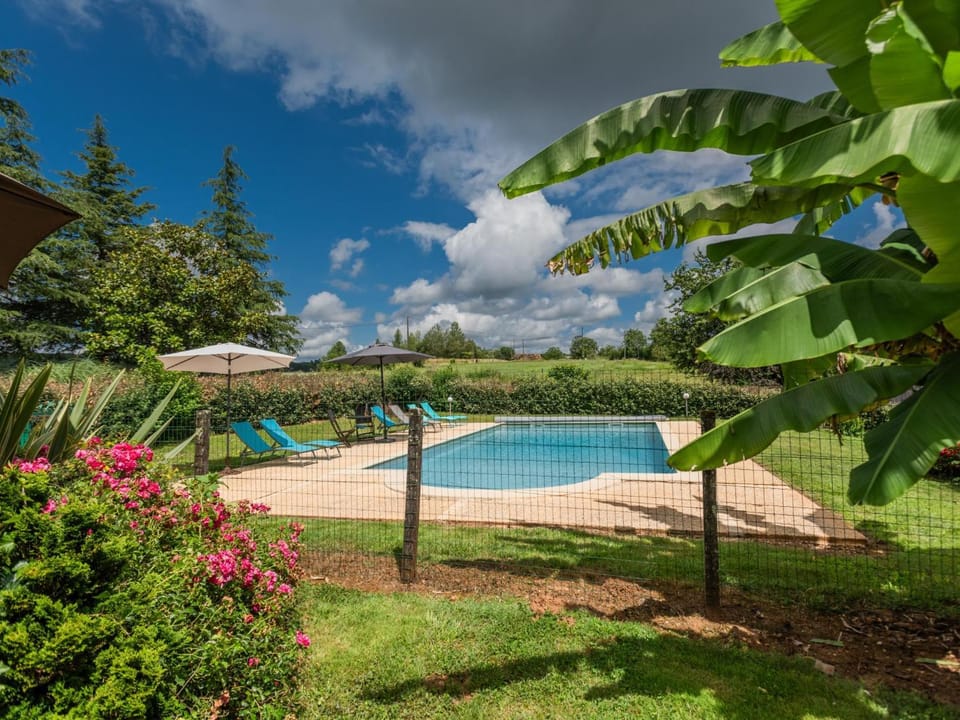 Summer, Garden