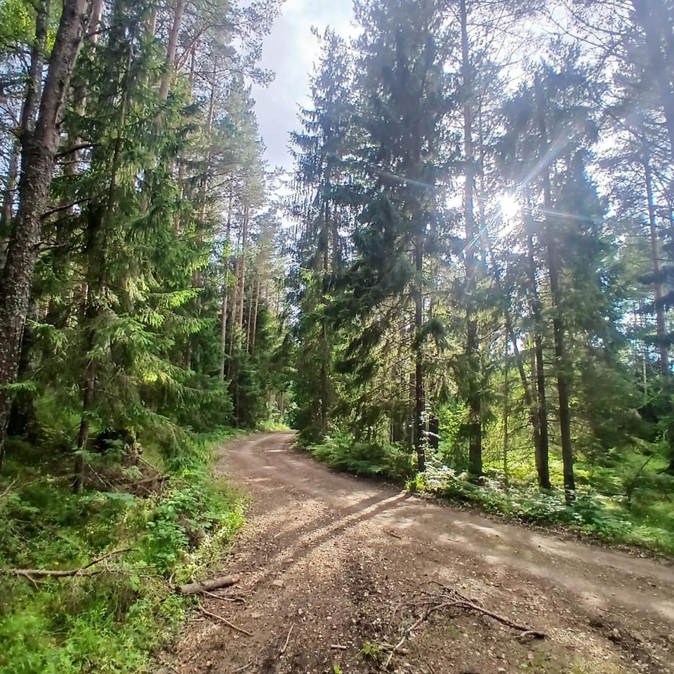 Natural landscape, Hiking