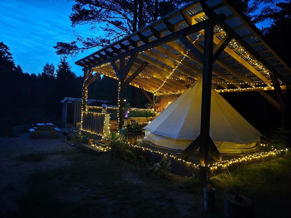 Night, Natural landscape, Garden view