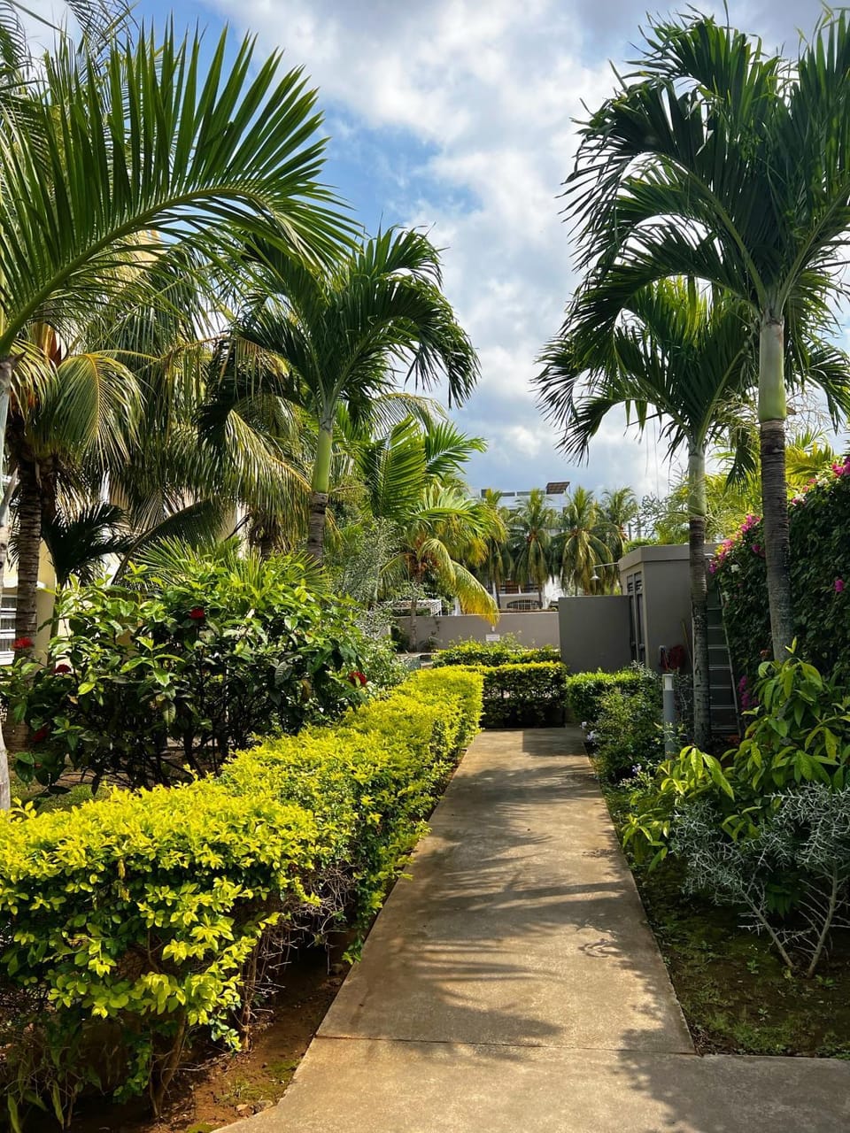 Facade/entrance, Garden, Garden view