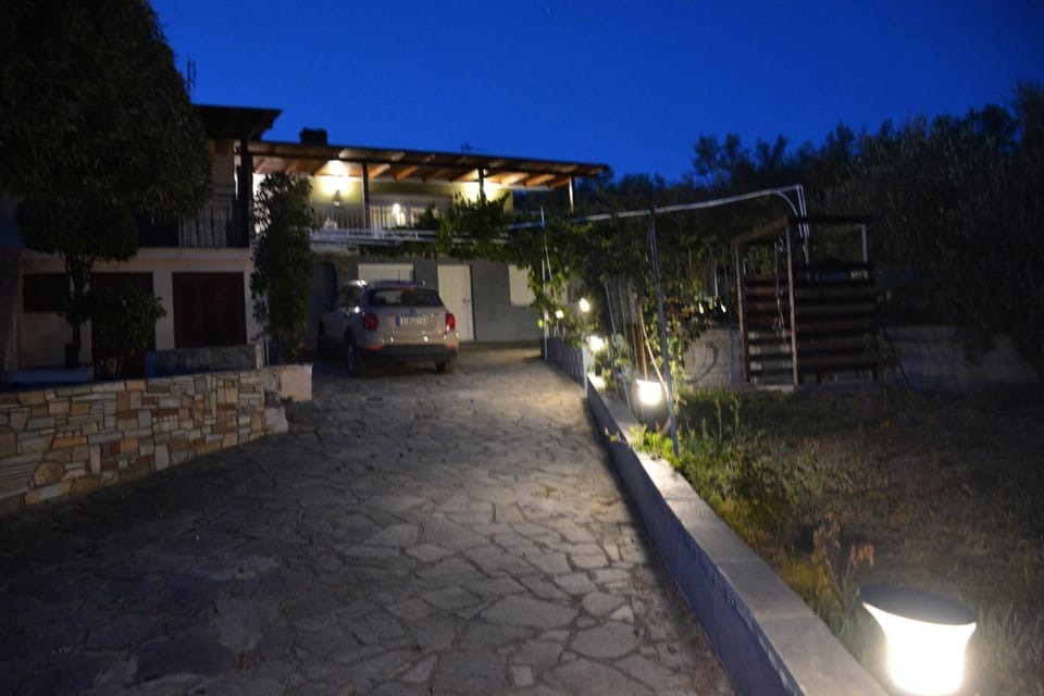 Property building, Night, Garden