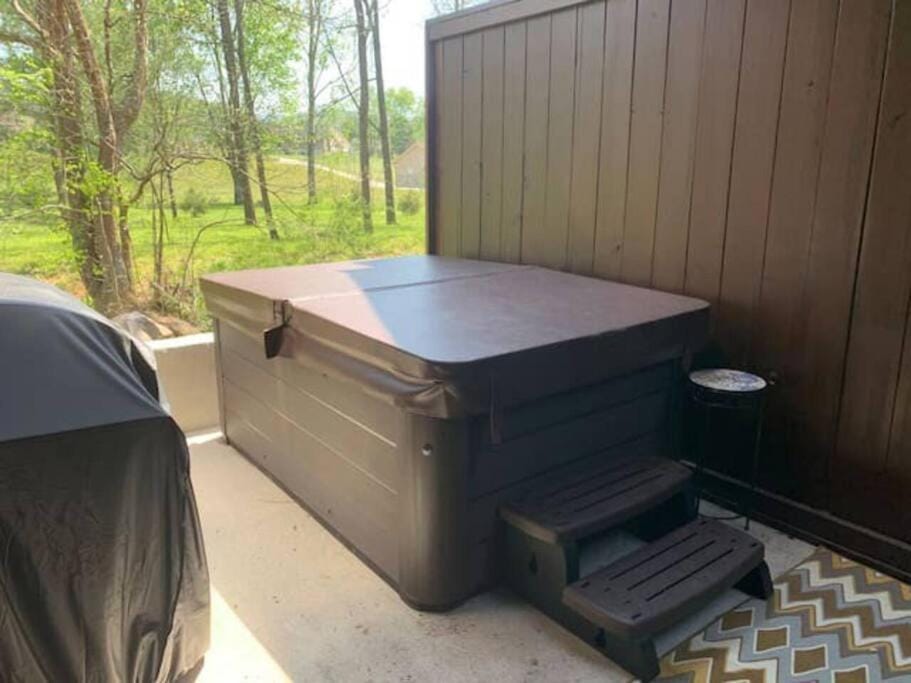 Smoky Mtn Retreat Pets Pickleball HotTub Creekside House in Sevier County