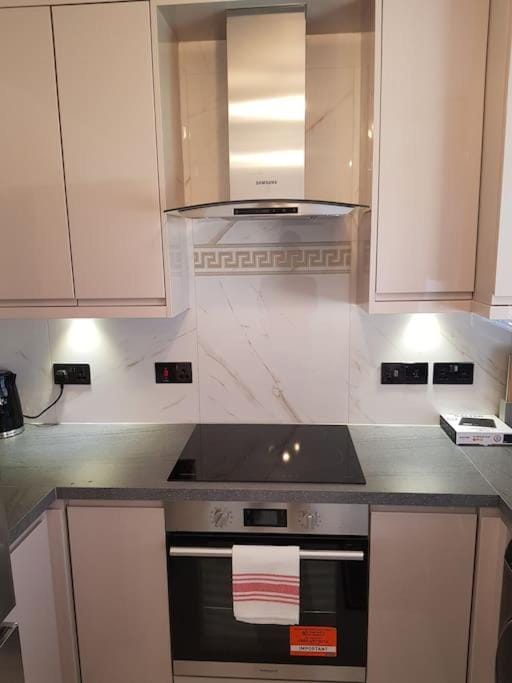 Luxurious 2 Bedroom House With Garden And Free Parking Apartment in London
