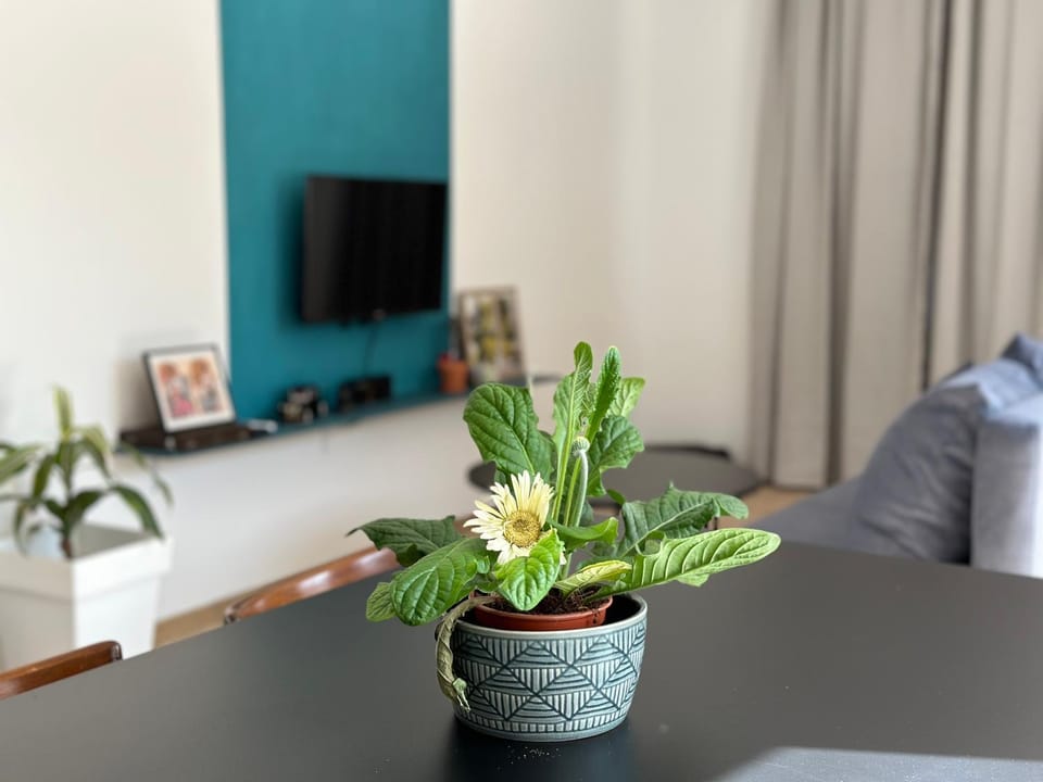 Communal lounge/ TV room, TV and multimedia, Evening entertainment