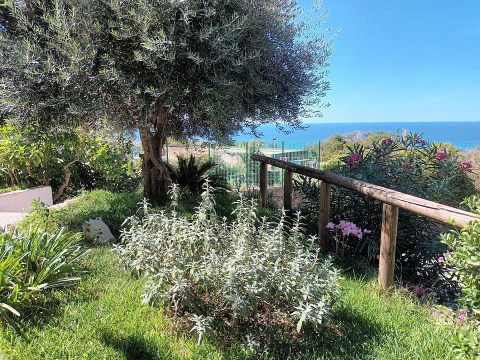 Day, Natural landscape, Garden, Garden view, Sea view