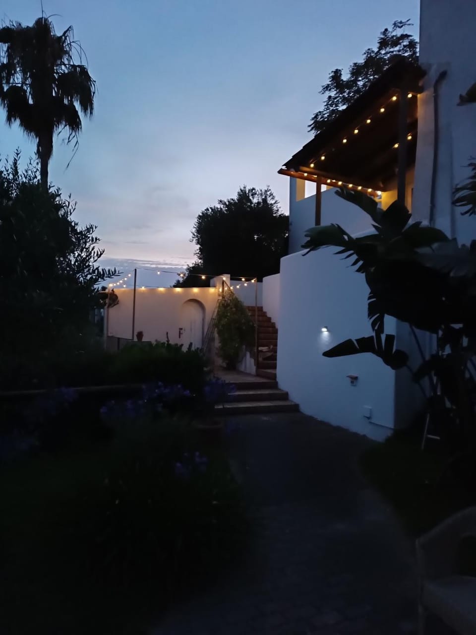 Natural landscape, Garden view