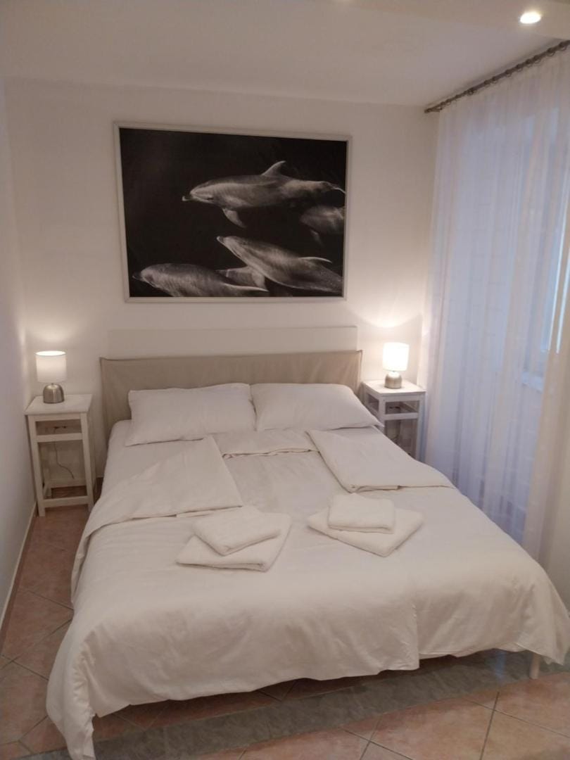 Don Dolfino Guesthouse - Hiša Dolfinova vrata Apartment in Piran