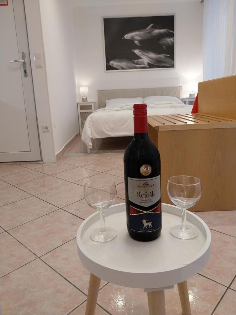 Don Dolfino Guesthouse - Hiša Dolfinova vrata Apartment in Piran