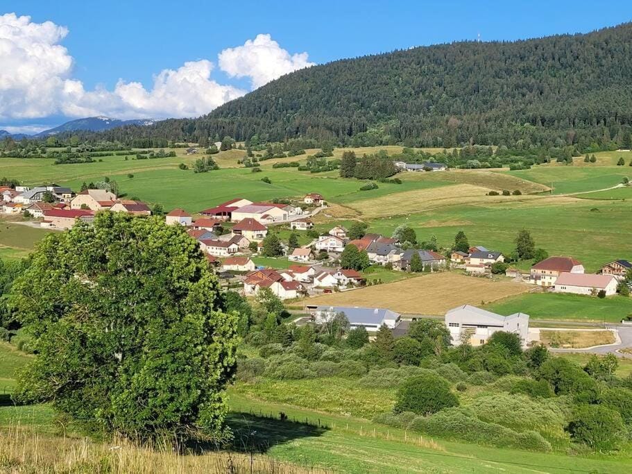 Spring, Natural landscape, Bird's eye view