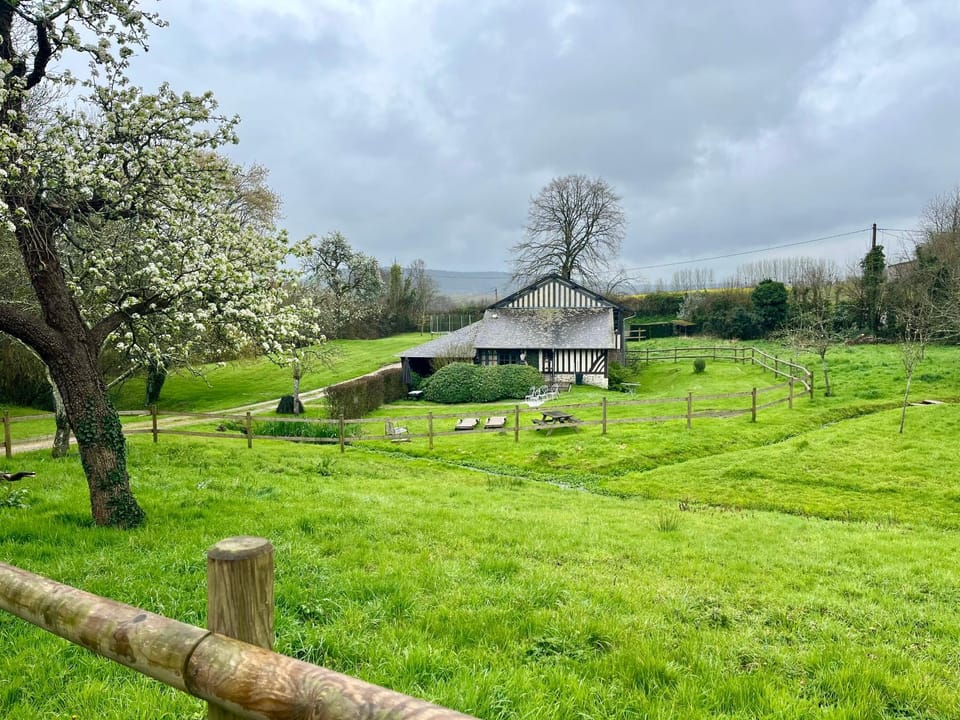Property building, Spring, Day, Garden, Pets, Pets, Garden view
