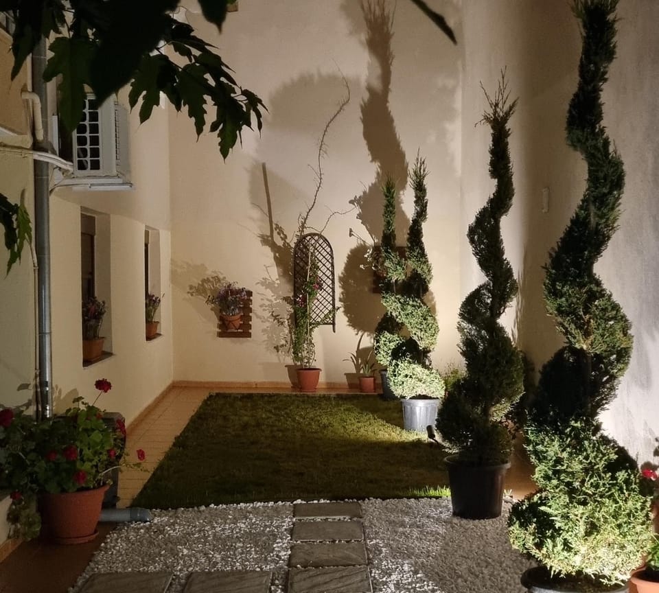 Night, Garden, Garden view, Quiet street view, Inner courtyard view