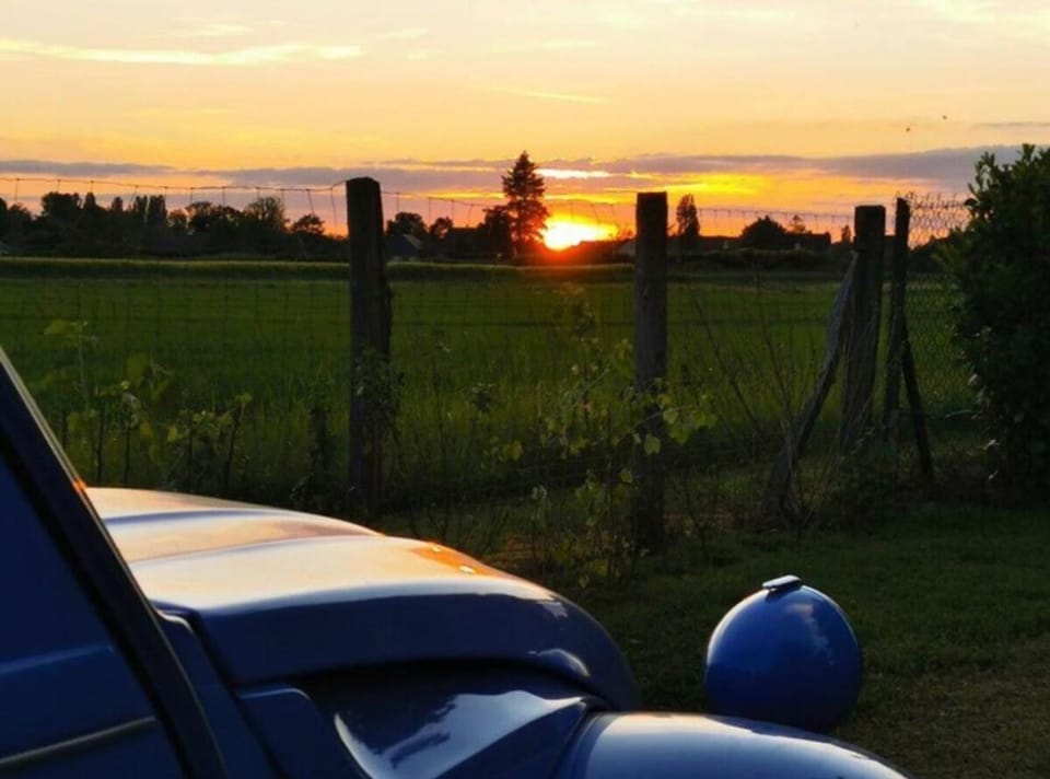 Natural landscape, Sunset