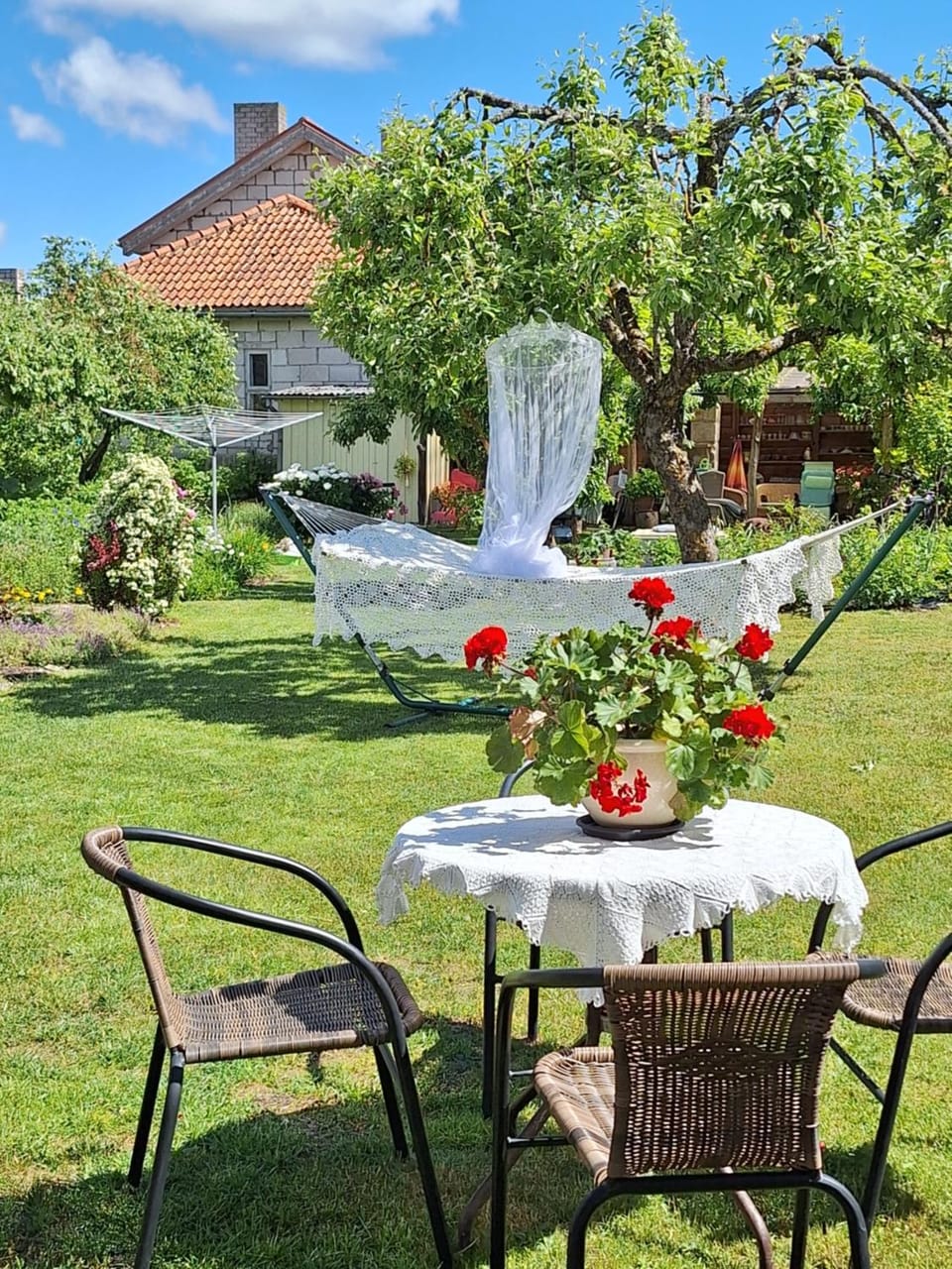 Garden view