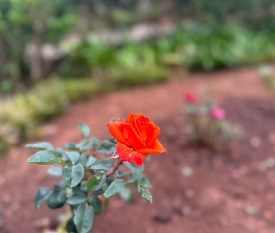 The Bunk Vacation rental in Ooty