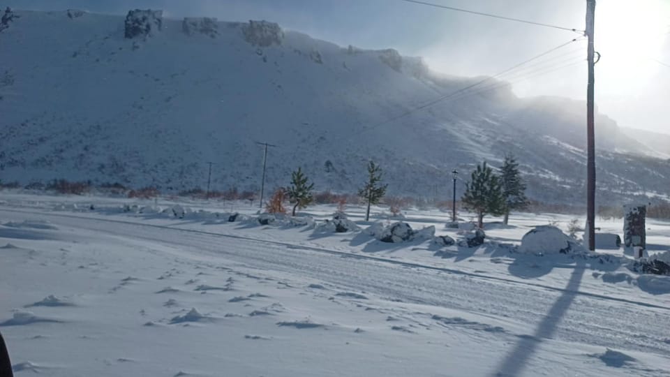 Winter
